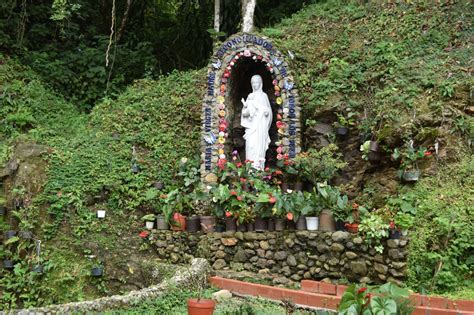 imagens de madeiramadeira betânia - madeiramadeira betania bh